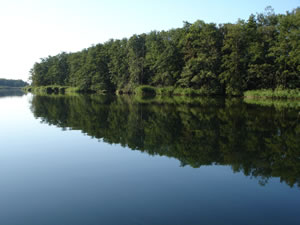 Auf der Peene